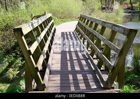 Holzsteg über Wasser im sonnigen grünen Waldpark Stockfoto