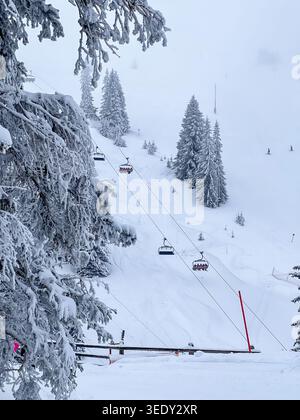 Sessellift und schneebedeckte Skipiste umgeben von Milchkiefern auf dem Berg Jahorina in Bosnien und Herzegowina. Stockfoto