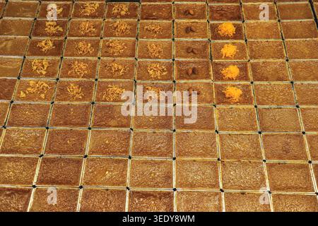 Reihen gebackener thailändischer Mungbohnen-Pudding-Kuchen in quadratischen Tabletts auf dem lokalen Markt. Authentische asiatische Street Food-Lebensstil-Hintergrund für kulinarische Reisen. Stockfoto