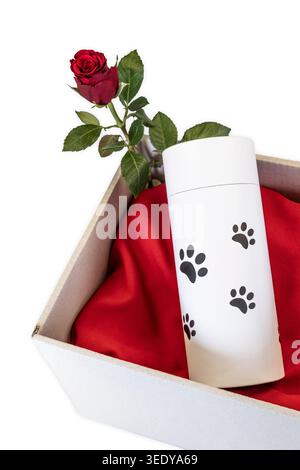 Haustierurne auf rotem Stoff in einer Box neben einer einzelnen roten Rose, die den Verlust von Tieren symbolisiert und eine Gedenkstätte darstellt Stockfoto