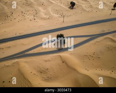Blick auf eine augenförmige Straßenformation, die einen einsamen Baum inmitten riesiger Sanddünen und Wüstenlandschaft in Dubai, Dubai, Vereinigte Arabische Emirate umgibt. Stockfoto