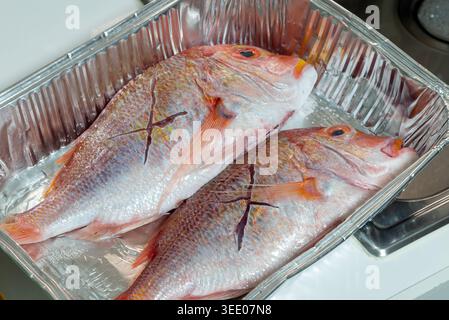 Frisch gereinigte Rote Meerbrasse bereit zum Grillen Stockfoto