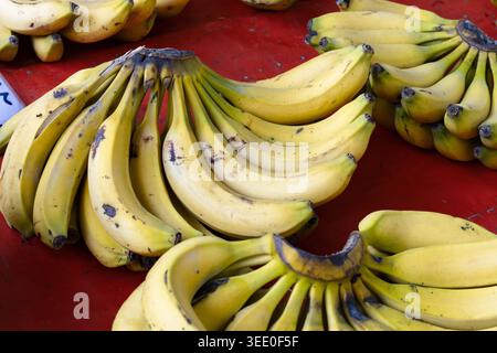Frische reife Bananenbündel auf dem roten Markttheke tropische Früchte aus nächster Nähe Stockfoto