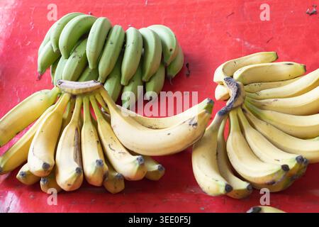 Frische reife Bananenbündel auf dem roten Markttheke tropische Früchte aus nächster Nähe Stockfoto