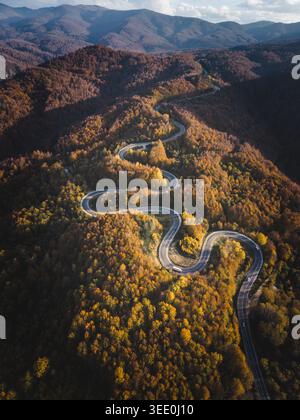 Filmischer Blick auf die gewundene Bergstraße durch die farbenfrohe Herbstwaldlandschaft Stockfoto