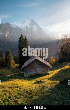 Malerischer Panoramablick auf die idyllische herbstliche Bergkulisse in den Schweizer Alpen mit uriger Hütte und berühmter Eiger-Nordwand in Grindelwald, Schweiz Stockfoto