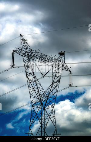 Blick auf einen Hochspannungs-Pylon mit einem Storchennest oben vor einem dramatischen bewölkten Himmel Portugal. Stockfoto