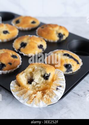 Vorderansicht hausgemachter Heidelbeermuffins im Backblech mit einem geöffneten Muffin im Vordergrund Stockfoto