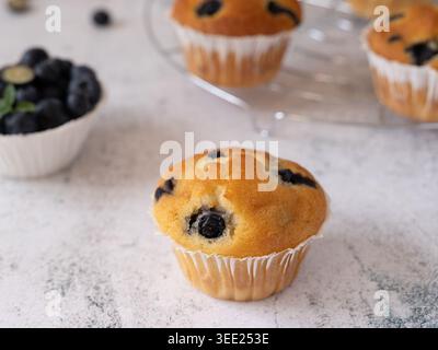 Aus nächster Nähe sehen Sie hausgemachte Heidelbeermuffins mit frischen Beeren und sanften neutralen Tönen Stockfoto