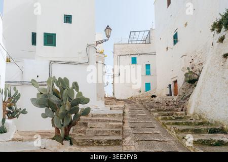 Historische Gasse in Ostuni, Italien, mit weiß getünchten Wänden, Treppen und Topfpflanzen. Apulien Stockfoto