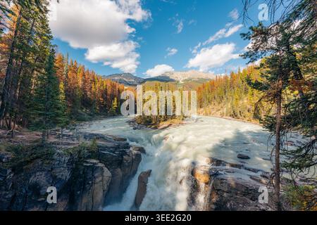 Athabasca Falls im Jasper National Park, umgeben von lebhaften Herbstwäldern und Bergen, Kanada Stockfoto