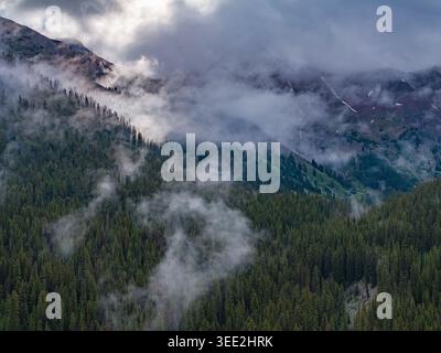 Blick auf nebelige Berggipfel, die sich über einem dichten immergrünen Wald erheben, mit tief hängenden Wolken, die unter einem stimmungsvollen Himmel über die Hänge Rollen, Colorado, United Stockfoto