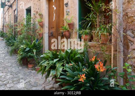 Malerische enge Straße in einem mediterranen Dorf mit zahlreichen Topfpflanzen und Blumen auf Steinmauern und Kopfsteinpflaster unter B Stockfoto