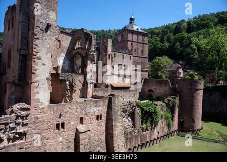 2019, Heidelberg, Deutschland; Heidelberger Schloss; Ruinen der Burg; ruinas del castillo Stockfoto
