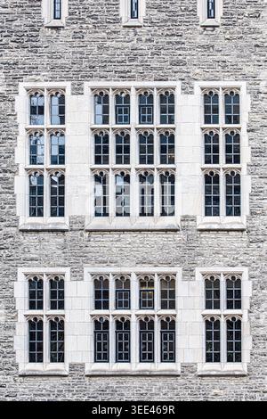 Reihen gotischer Steinfenster mit spitzem Tracery und dunklen Scheiben an der Fassade eines historischen Stiftsgebäudes. Stockfoto