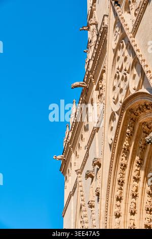 Lyon, Frankreich - 19. März 2026: Wasserspeier und gotische Steinschnitzereien an der Fassade der Kathedrale Saint Jean Baptiste vor einem blauen Himmel Stockfoto