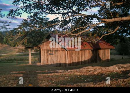 Alte Holzscheune. Kenilworth Homestead, Kenilworth, Sunshine Coast, Queensland, Australien. Stockfoto