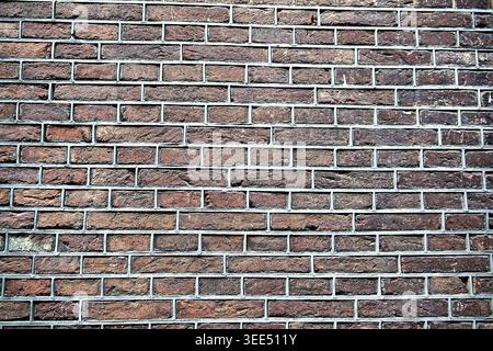 Direkte Nahaufnahme einer authentischen alten Ziegelmauer mit dunkelbraunen und lila Tönen. Das raue Mauerwerk und der sichtbare graue Mörtel heben den Historismus hervor Stockfoto