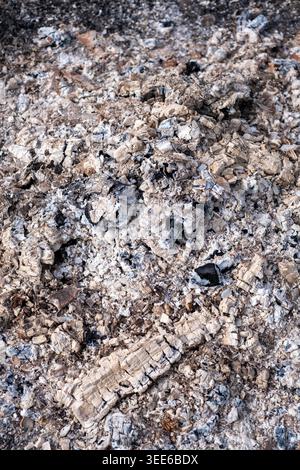 Aschen und Reste von verbranntem Holz verstreut auf dem Boden und zeigen verschiedene Texturen und Farben in einer natürlichen Umgebung im Freien Stockfoto