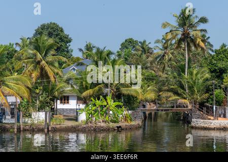 Traditionelles weißes Kerala Haus mit Holzsteg, eingebettet zwischen Kokospalmen und Bananenpflanzen am Backwater Canal, Kerala, Indien Stockfoto