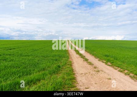 Landstraße, die sich durch üppige grüne Felder unter hellblauem bewölktem Himmel im ländlichen Deutschland erstreckt, mit Windturbinen am fernen Horizont l Stockfoto