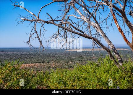 Blick auf das Waterberg Plateau in Namibia Stockfoto