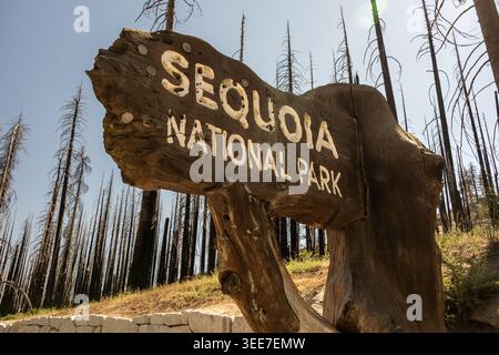 Der Blick auf das Sequoia National Park Schild mit verbrannten Bäumen im Hintergrund zeigt die Mautfeuer Saison im Park Stockfoto