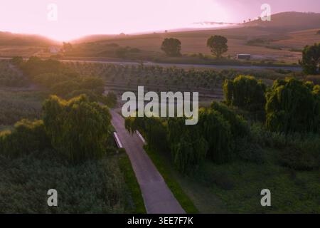Aus der Vogelperspektive auf Weinberge, üppige grüne Bäume und sanfte Hügel unter einem sanften rosa Sonnenaufgangshimmel Kapstadt, Westkap, Südafrika. Stockfoto