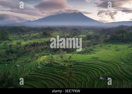 Blick aus der Vogelperspektive auf üppig grüne Reisterrassen und tropische Wälder mit Mount Agung unter einem bewölkten Himmel bei Dawn Sidemen, Bali, Indonesien. Stockfoto