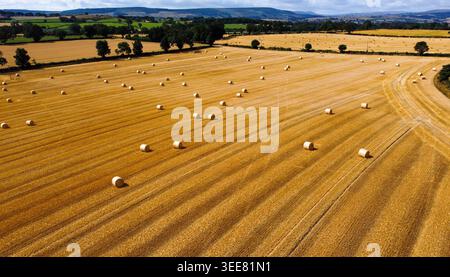 Aus der Vogelperspektive goldene Heuballen, die über ein geerntetes Feld in Wensleydale verstreut sind Stockfoto
