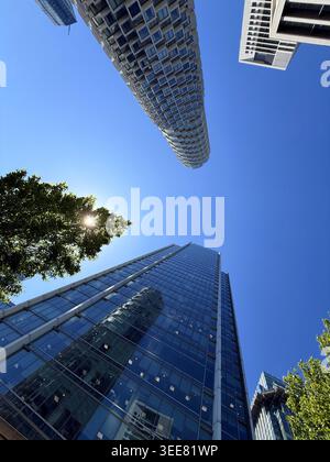 Blick auf Büroblöcke vor einem leuchtend blauen Himmel mit Sonnenschein durch den Baum in Canary Wharf, London Stockfoto
