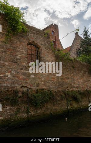 Die alte Backsteinmauer in Brügge zeigt eine bogenförmige Öffnung, Efeu, verwitterte Steinbasis, historische Dächer und ruhiges Wasser. Kulturerbe Tourismus, Architektur Stockfoto