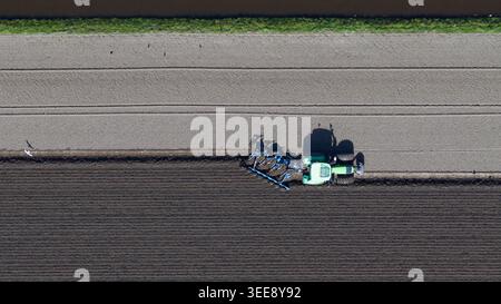 Luftaufnahme eines grünen Traktors, der ein Feld mit dunklem Boden pflügt, und Vögel, die in der Nähe von Heiloo, Nordholland, Niederlande fliegen. Stockfoto