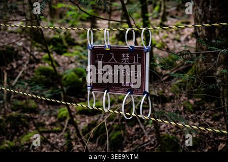 Warnschild an einer Seilsperre im Aokigahara Forest, Japan, das ein Sperrgebiet zwischen Bäumen und moosbedeckten Felsen kennzeichnet. Stockfoto