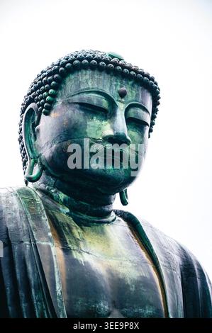 Nahaufnahme des großen Buddha-Kopfes mit grüner Patina im Kōtoku-in-Tempel, Kamakura, Kanagawa, Japan Stockfoto