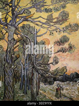 Pinien bei Sonnenuntergang - Vincent van Gogh. Stockfoto