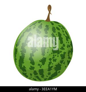 Wassermelone in flachem Stil. Vektorillustration isoliert auf weißem Hintergrund. Stock Vektor