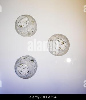 Drei dekorative Glaskerzenhalter auf weißer Oberfläche Stockfoto