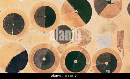 Luftaufnahme von zentrisch-drehbaren Bewässerungsfeldern in einer Wüstenlandschaft. Die leuchtend grünen und goldenen kreisförmigen Schnittmuster erzeugen ein auffälliges geometrisches c Stockfoto