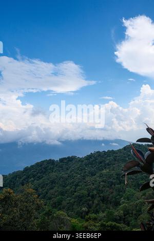Malerische Berglandschaft in Ba Na Hills mit dramatischen weißen Wolken, tropischem Wald und lebendigem blauem Himmel. Stockfoto