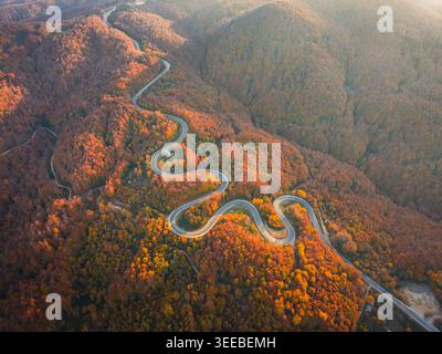 Top-Down-Drohnenaufnahme der kurvenreichen Straße, die sich durch den Herbstwald in Domanic, Kutahya, schlängelt Stockfoto