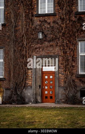 Eine vertikale Aufnahme einer polierten orangefarbenen Holztür mit kleinen quadratischen Fenstern. Die umliegende dunkle Ziegelmauer ist mit weitläufigen, ruhenden Mauern bedeckt Stockfoto