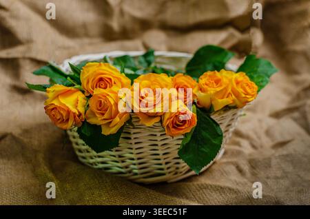 Eine rustikale, hochwinklige Aufnahme eines weißen Korbs, gefüllt mit frischen gelben Rosen, auf einem strukturierten braunen Sackleinen-Tuch. Stockfoto