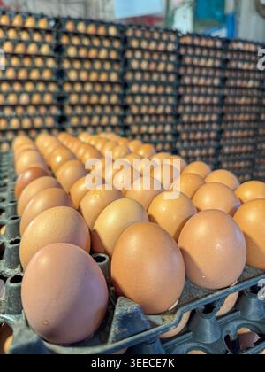 Eier werden in einem Eiertablett zum Verkauf ausgestellt. Dieses Foto wurde aus Chittagong, Bangladesch, aufgenommen. Stockfoto