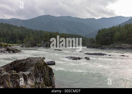 Malerischer Blick auf den Fluss Katun mit schnellen Stromschnellen, felsigen Ufern, Kiefernwäldern und nebeligen Bergen unter bewölktem Himmel in der Republik Altai, Russland, natürlicher Trav Stockfoto