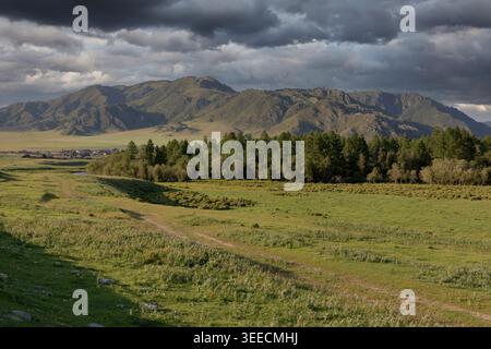 Weite Sicht auf grüne Steppe, Feldweg und Waldgürtel mit felsigen Bergen unter dramatischen Sturmwolken in Altai, Sibirien, Russland, Sommerreisescener Stockfoto