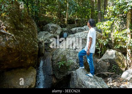 Ein junger asiatischer Mann in weißem T-Shirt und blauer Jeans steht auf einem Felsen und schaut auf einen kleinen Wasserfall zwischen Felsbrocken in einem Wald. Stockfoto