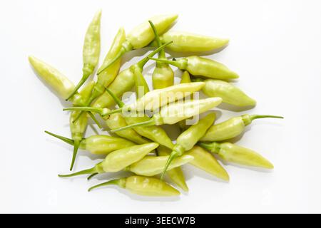Blick von oben auf einen Haufen frischer Cayennepfeffer auf weißem Hintergrund Stockfoto
