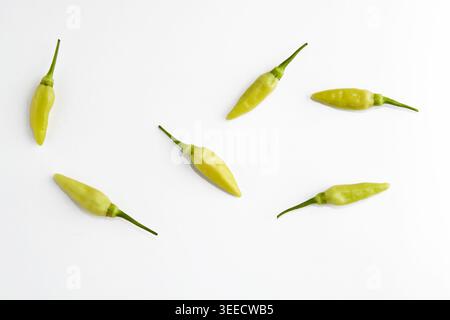 Sieben kleine Cayennepfeffer in verschiedenen Positionen auf weißem Hintergrund Stockfoto