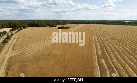 Breites Luftpanorama von landwirtschaftlich genutzten Feldern mit Strohreihen, einer Landstraße und dichtem Wald unter bewölktem Himmel im Ural, Russland Stockfoto